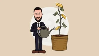 Roi Nedir